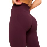 FABLETICS SEAMLESS SCRUNCH LEGGING Q2 2026 FB5926-LG2500577-6942-OXBLOOD Μπορντό Εικόνα 1