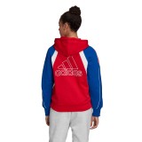 adidas Performance W AAC HOODIE FS2455 Colorful Image 0