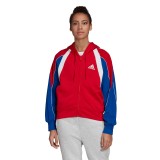 adidas Performance W AAC HOODIE FS2455 Colorful