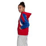 adidas Performance W AAC HOODIE FS2455 Colorful