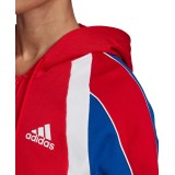 adidas Performance W AAC HOODIE FS2455 Colorful Image 3