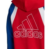 adidas Performance W AAC HOODIE FS2455 Colorful