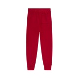 JORDAN JDB MJ ESS FLC BASELINE PANT 95F084-R78 Red Image 0
