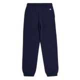 CHAMPION 306582-BS501 Blue Image 0