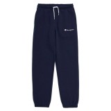 CHAMPION 306582-BS501 Blue Image 