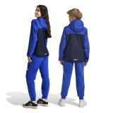 adidas sportswear U BL PANT IV7326 Blue Image 3