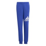 adidas sportswear U BL PANT IV7326 Blue Image 