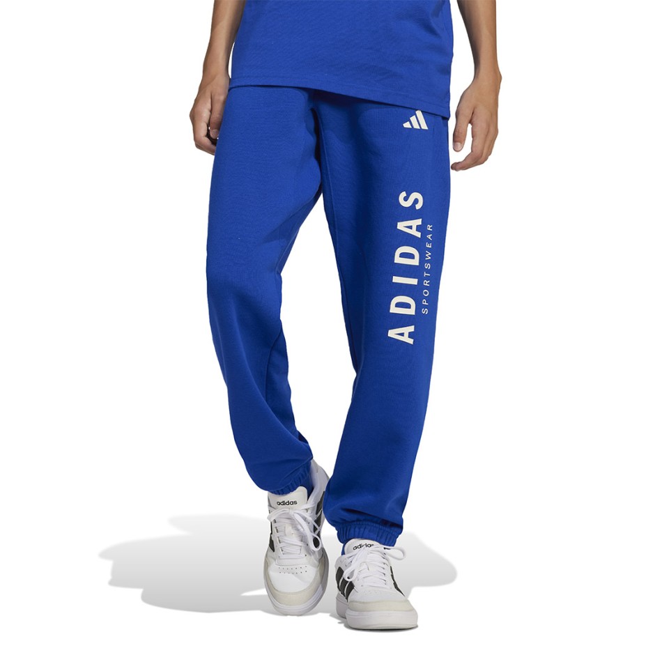 adidas sportswear J ALLSZN GFX PT JC7613 Royal Blue