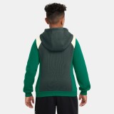 NIKE K AIR PO HOODIE FZ4955-338 Green Image 0