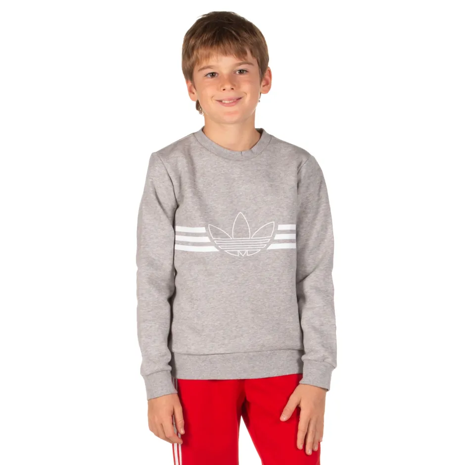 adidas Performance OUTLINE CREW ED7856 Grey Zakcret.gr