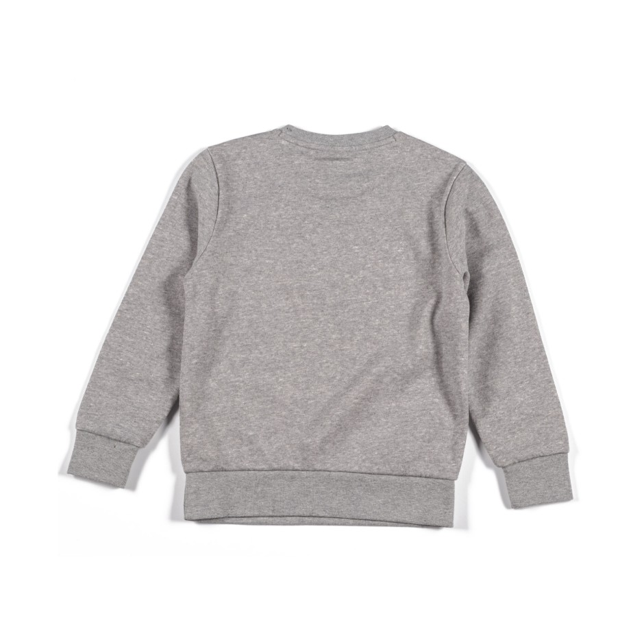 CHAMPION 305360-EM006 Coal