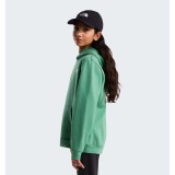 Παιδικό Φούτερ Πράσινο - The North Face Evolution Simple Dome Εικόνα 5