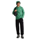 Παιδικό Φούτερ Πράσινο - The North Face Evolution Simple Dome Εικόνα 6