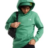 Παιδικό Φούτερ Πράσινο - The North Face Evolution Simple Dome Εικόνα 