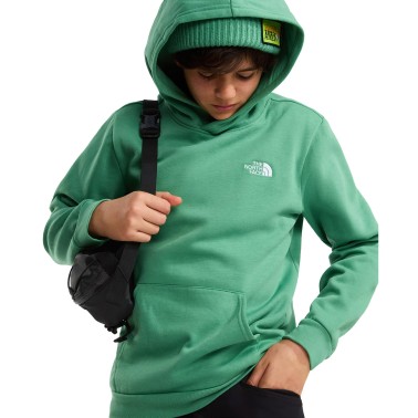 Παιδικό Φούτερ Πράσινο - The North Face Evolution Simple Dome