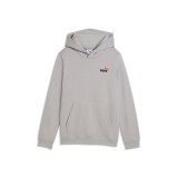 Παιδικό Φούτερ Γκρι - PUMA Essentials 2 Color Small No. 1 Logo Εικόνα 1