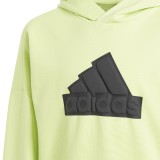 adidas Sportswear FUTURE ICONS LOGO HOODIE Λαχανί  Εικόνα 1