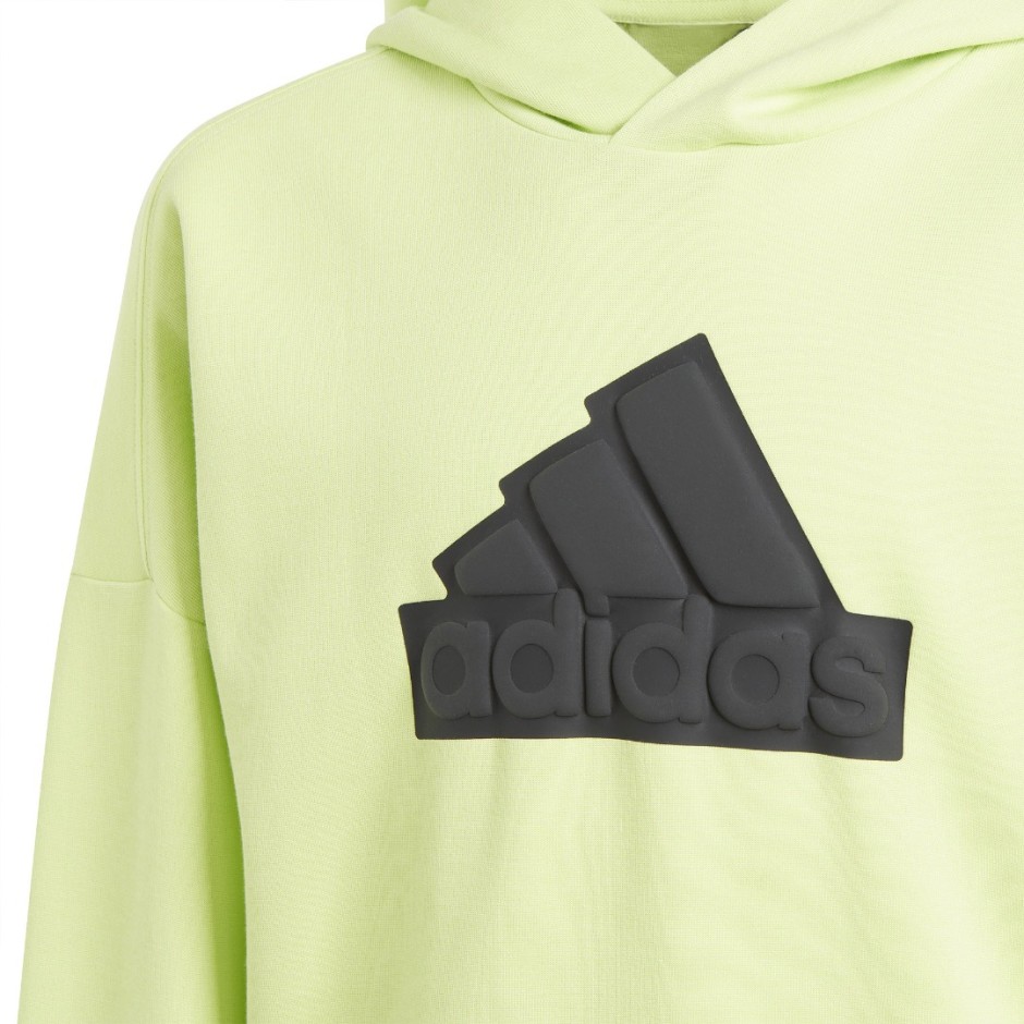adidas Sportswear FUTURE ICONS LOGO HOODIE Λαχανί 