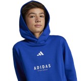 adidas sportswear J ALLSZN GFX HD JC7618 Royal Blue Image 1