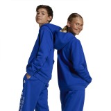adidas sportswear J ALLSZN GFX HD JC7618 Royal Blue Image 3