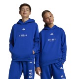 adidas sportswear J ALLSZN GFX HD JC7618 Royal Blue Image 4