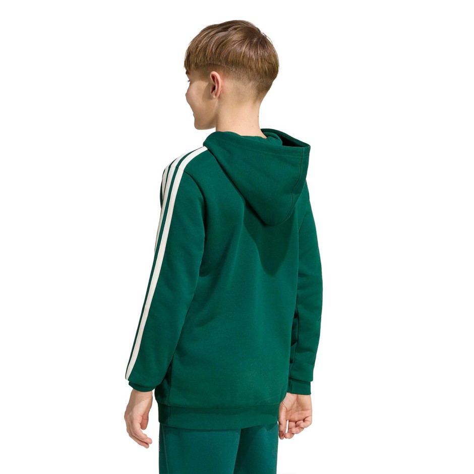 Kids' Hoodie Green - adidas Sportswear Codes Collegiate Graphic