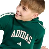 Kids' Hoodie Green - adidas Sportswear Codes Collegiate Graphic Image 1