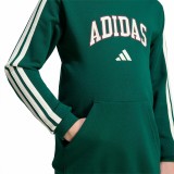 Kids' Hoodie Green - adidas Sportswear Codes Collegiate Graphic Image 2