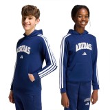 Kids' Hoodie Blue - adidas Sportswear Codes Collegiate Graphic Image 3