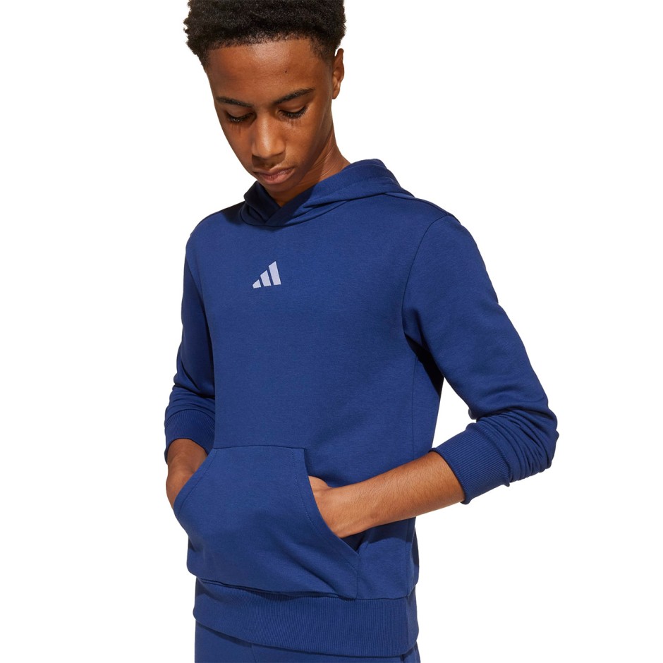 Kids' Hoodie Blue - adidas Sportswear Essentials