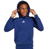 Kids' Hoodie Blue - adidas Sportswear Essentials Image 2