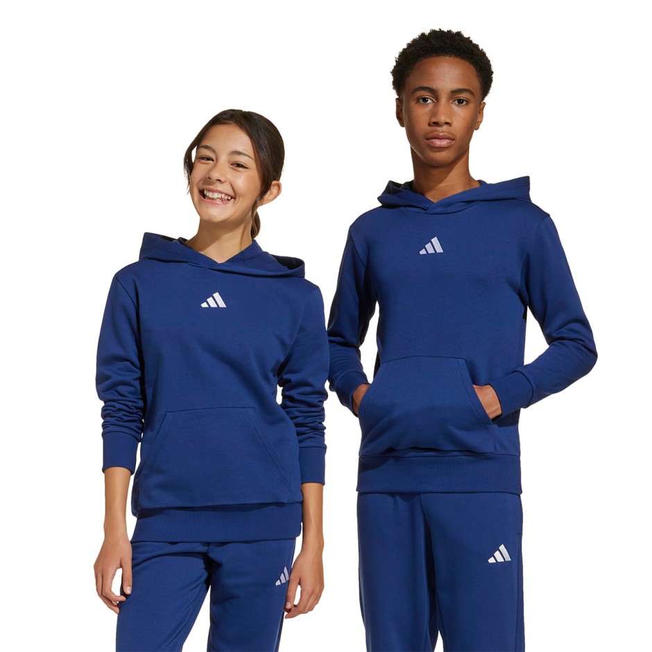 Kids' Hoodie Blue - adidas Sportswear Essentials
