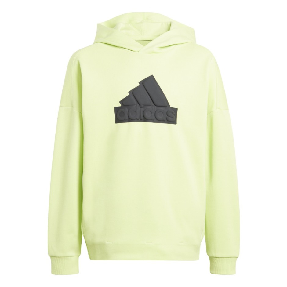 adidas Sportswear FUTURE ICONS LOGO HOODIE Λαχανί 