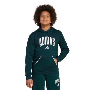 Παιδικό Φούτερ Κυπαρισσί - adidas Sportswear Seasonals Essentials Collegiate Typography