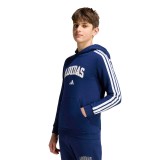 Kids' Hoodie Blue - adidas Sportswear Codes Collegiate Graphic Image 