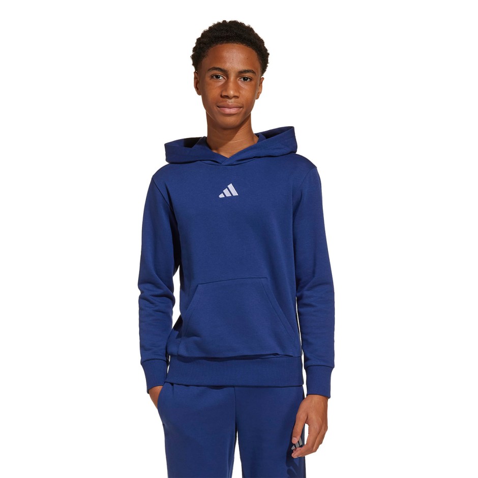 Kids' Hoodie Blue - adidas Sportswear Essentials
