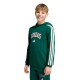 Kids' Hoodie Green - adidas Sportswear Codes Collegiate Graphic Image 
