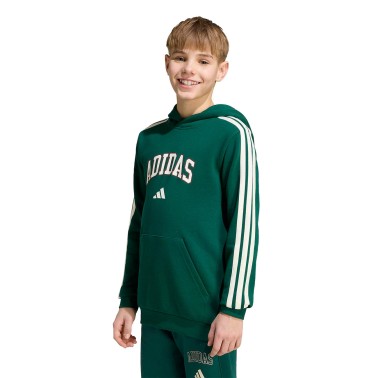Kids' Hoodie Green - adidas Sportswear Codes Collegiate Graphic