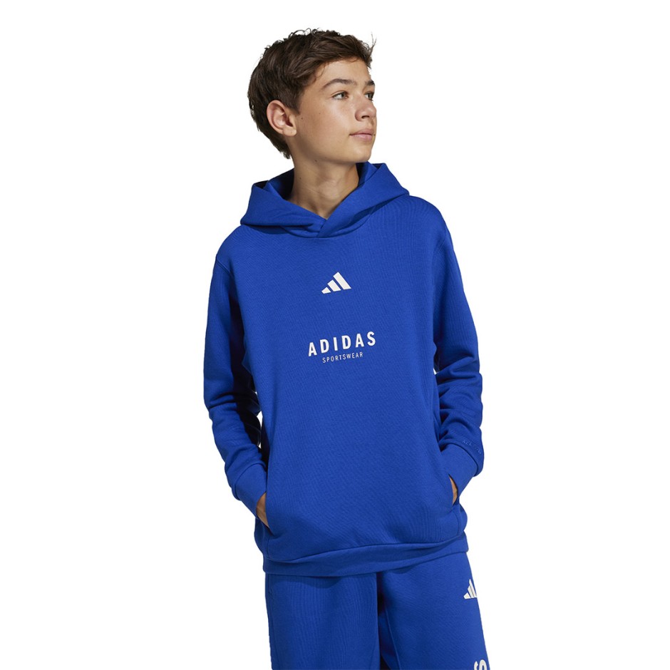 adidas sportswear J ALLSZN GFX HD JC7618 Royal Blue