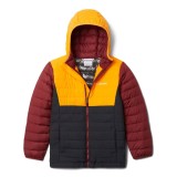 COLUMBIA POWDER LITE BOYS HOODED JACKET EB0013-012 Πολύχρωμο Εικόνα 