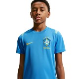 Παιδική Εμφάνιση Ποδοσφαίρου Ρουά - Nike Brasil Academy Pro Εικόνα 3