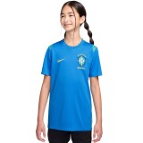 Παιδική Εμφάνιση Ποδοσφαίρου Ρουά - Nike Brasil Academy Pro Εικόνα 