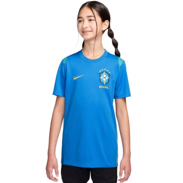 Παιδική Εμφάνιση Ποδοσφαίρου Ρουά - Nike Brasil Academy Pro
