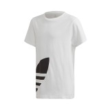adidas Originals BIG TREFOIL TEE FM5680 Λευκό Εικόνα 
