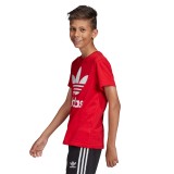 adidas Originals TREFOIL TEE ED7795 Κόκκινο Εικόνα 3