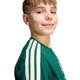 adidas sportswear J COLLEG T KE1639 Green Image 2
