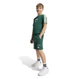 adidas sportswear J COLLEG T KE1639 Green Image 4