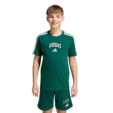adidas sportswear J COLLEG T KE1639 Green