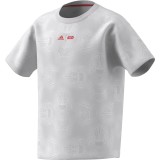 adidas sportswear J SW ZNE T IW0647 Grey Image 