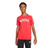 adidas sportswear J C COLLEG TEE JI6673 Red Image 